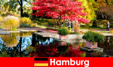 汉堡是一座港口城市，拥有大型公园，可享受轻松的假期