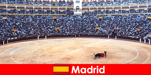 马德里的传统节日让每个陌生人都感到惊奇