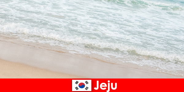 济州拥有细沙和清澈的海水，是家庭在海滩上度假的理想地点