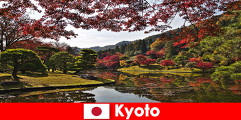 前往日本京都参加著名的秋叶着色