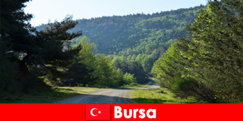 布尔萨土耳其为徒步旅行游客在美丽的大自然中提供有组织的短途旅行