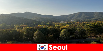 飞往韩国首尔的热门团体度假套餐