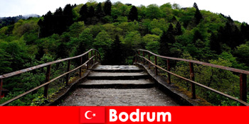 温和的气温是适合在 博德鲁姆 土耳其 度假的最佳时间