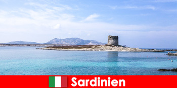 撒丁岛美食之旅，探索意大利美食