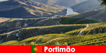 客人们喜欢葡萄牙波尔蒂芒山上的品酒和美味佳肴