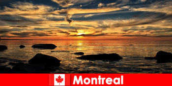 海滩海和许多自然体验游客在加拿大蒙特利尔