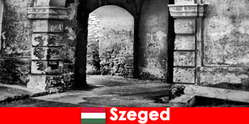 养老金领取者更喜欢爱和生活在塞格德匈牙利