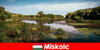 米什科尔茨匈牙利为旅行者提供许多机会