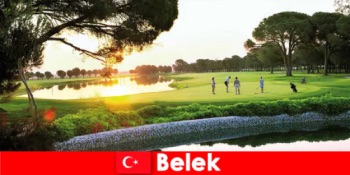 土耳其明珠贝莱克的活动